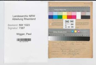 Entnazifizierung Paul Wigger , geb. 25.05.1901 (Amtsgerichtsrat)