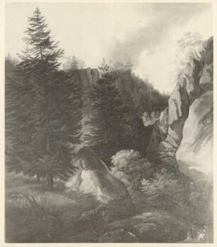 Morgen in der Sächsischen Schweiz