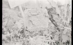 Unknown Provenance, Carved Stone (PNK: KHM 6 - 94)