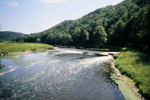 Elster mit Mühlenwehr