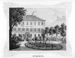 Strauch