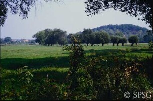Potsdam, Golm, Reiherberg, Luch.