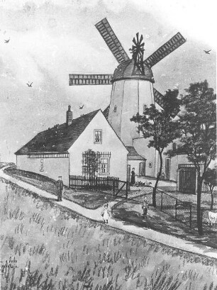 Langenleuba-Niederhain. Holländermühle und Gehöft, Repro
