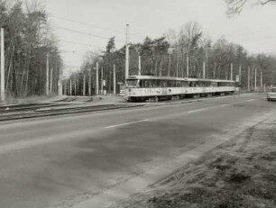 Zweigleisige Straßenbahnstrecke in Seitenlage am Abzweig nach Hellerau mit Dreiwagenzug (Tw + Tw + Bw) der Linie 8 nach Leutewitz. Blick über die Fahrbahn in die Schneise der Strecke nach Hellerau : Dresden-Hellerberge, Königsbrücker Straße. Zweigleisige Straßenbahnstrecke in Seitenlage am Abzweig nach Hellerau mit Dreiwagenzug (Tw + Tw + Bw) der Linie 8 nach Leutewitz. Blick über die Fahrbahn in die Schneise der Strecke nach Hellerau