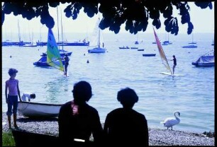 Herrsching: Betrieb am See, Windsurfing