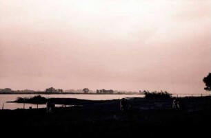 Hitzacker: Weideland an der Elbe