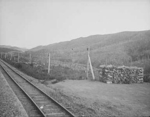 Bahngleis nach Cholmsk : Bahnstation mit Feuerholzstapel