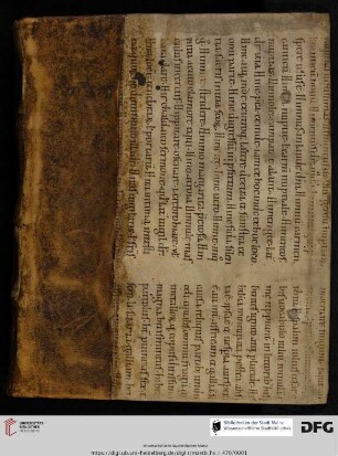 Paul Brückner, Commentaria in quattuor Institutionum libros : Vorlesungsmitschrift von Andreas Sinapius (Teil 1)