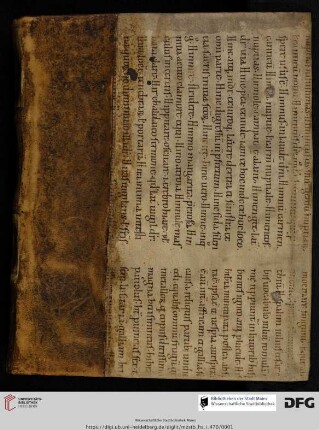 Paul Brückner, Commentaria in quattuor Institutionum libros : Vorlesungsmitschrift von Andreas Sinapius (Teil 1)