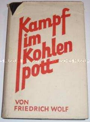 Novellen von Friedrich Wolf