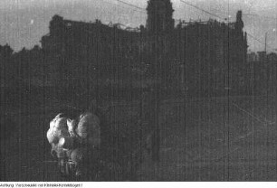 Dresden. "Flüchtlingselend". Umsiedler am Terrassenufer, auf Schlossplatz und Georgij-Dimitroff-Brücke (Augustusbrücke), 1945