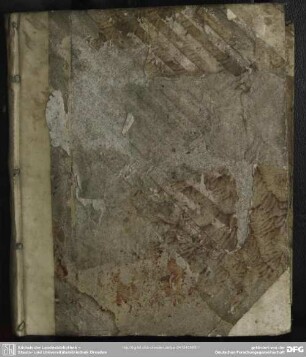 Examen Miraculi Legionis Fulminatricis Contra Thomam Woolstonum, Dissertatio II.