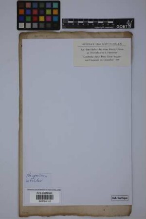 No specimen in folder