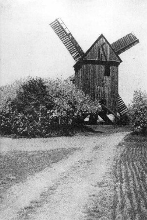 Windmühle Borne