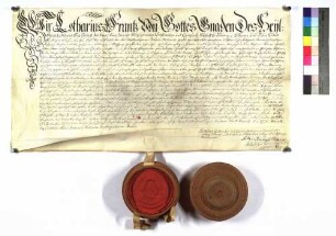 Bischof Lothar Franz verleiht Hohenlohe Bischofsheim.