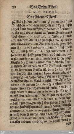 CAP. XLVIII. Das siebende Werck.