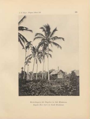 35. Reisschuppen der Bagobos in Süd Mindanao = Bagobo Rice barn in South Mindanao