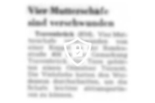 Vier Mutterschafe sind verschwunden