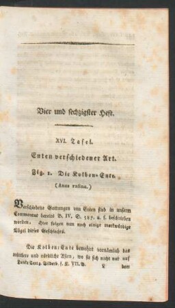 Vier und sechzigster Heft.