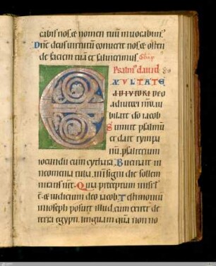 Rankeninitiale "E" (Ps. 80)