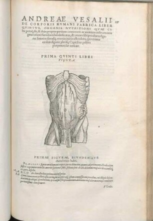Prima Qvinti Libri Figura. Primae Figvrae, Eivsdemqve characterum Index. [bis Trigesimasecvnda Qvinti Libri Figura. Trigesimaesecvndae Qvinti Libri figuræ, eiusdem characterum Index.]