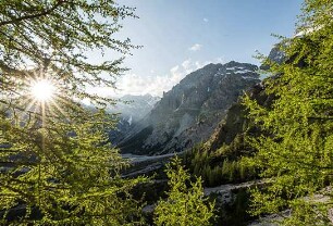Heimat Natur