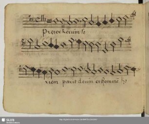 [Anonymus:] Praeter rerum seriem