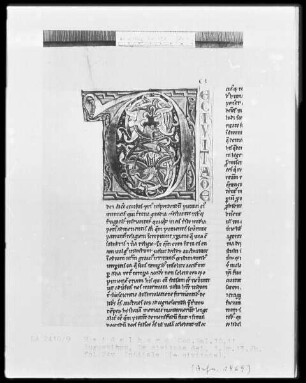 De civitate dei des heiligen Augustinus — Initiale D(e civitate), Folio 24verso
