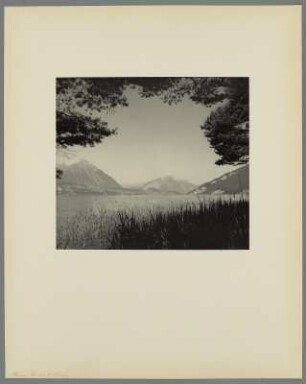 Thunersee mit Wiesen