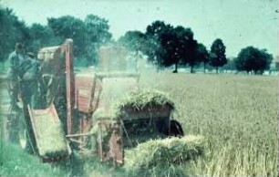 Fotografie: Erntetechnik, Mähdrusch, Mähdrescher selbstfahrend, Absackanlage, Strohbergung