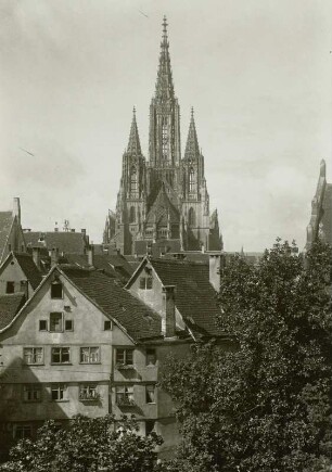 Ulm, Münster : Ulm. Blick von Osten zum Münster über die Dächer der Stadt