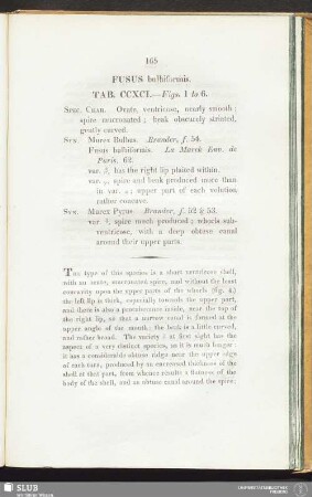 Fusus bulbiformis. Tab. CCXCI. — Figs. 1 to 6