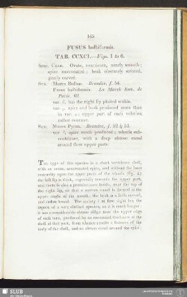 Fusus bulbiformis. Tab. CCXCI. — Figs. 1 to 6