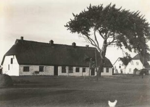 Insel Hiddensee. Haus in Neuendorf (typisches Einfamilienhaus)