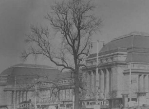 Leipzig: Hauptbahnhof, Vordergrund Baum