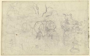 Landschaft mit Ochsen