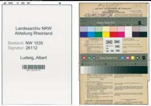 Entnazifizierung Albert Ludwig , geb. 29.10.1900 (Bankbeamter)