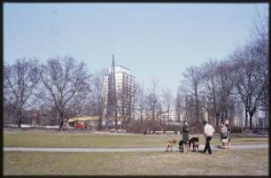 Blick in den Volkspark Wilmersdorf