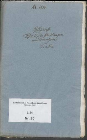 Fiskalische Handlungen, Exekutionen und Strafen
