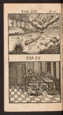 Pl. 10. Fab. XIX. Fab. XX.