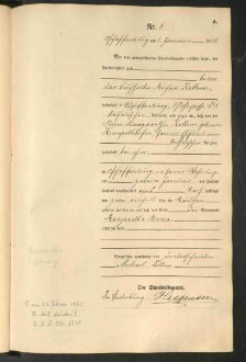 Standesamtsbuch der Stadt Aschaffenburg: Geburten 365/1900 - 184/1901