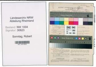 Entnazifizierung Robert Sonntag , geb. 08.06.1906 (Lackierer)