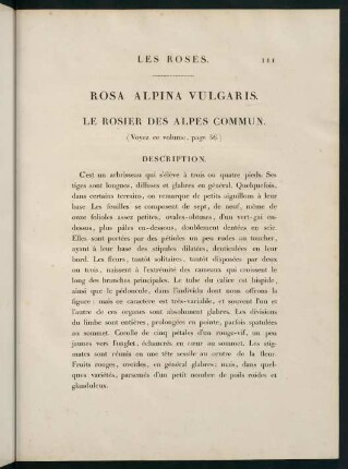 111-112, Rosa Alpina Vulgaris. Le Rosier des Alpes Commun.
