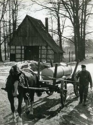 Am Dümmer (auch Dümmersee) in Niedersachsen. Mit einem Pferdefuhrwerk wird Jauche transportiert