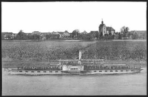 Brockwitz. Blick auf Brockwitz - Elbe mit Dampfer Loschwitz