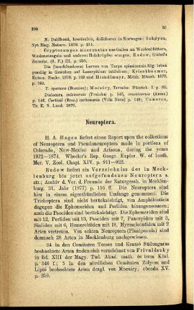 Neuroptera.