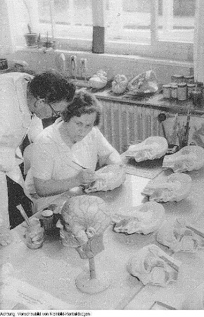 Dresden, Deutsches Hygiene-Museum Dresden, Museum, 1968