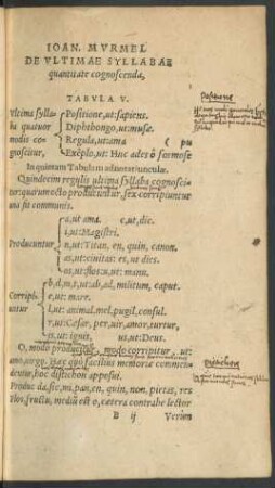De Ultimae Syllabae quantitate cognoscenda, Tabula V.