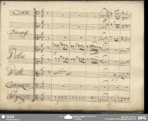 Cavatina: "Che zito acconcio"