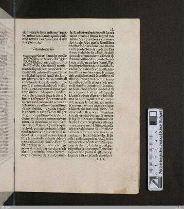 Capitulo XVIII